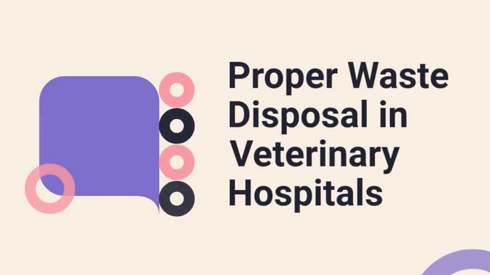 Medical Waste Safety in the Veterinary Hospital