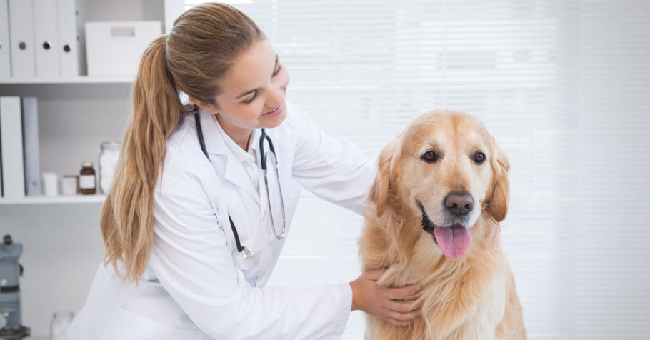 Veterinary Basic OSHA and Workplace Safety Compliance Checklist