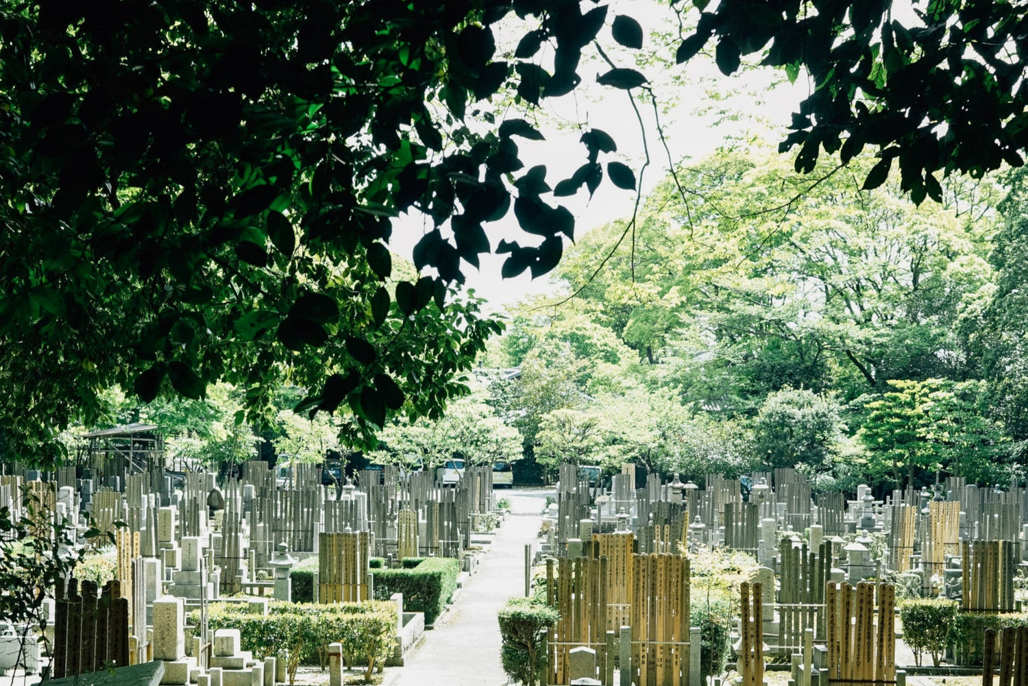 Cemetery Specific OSHA Training