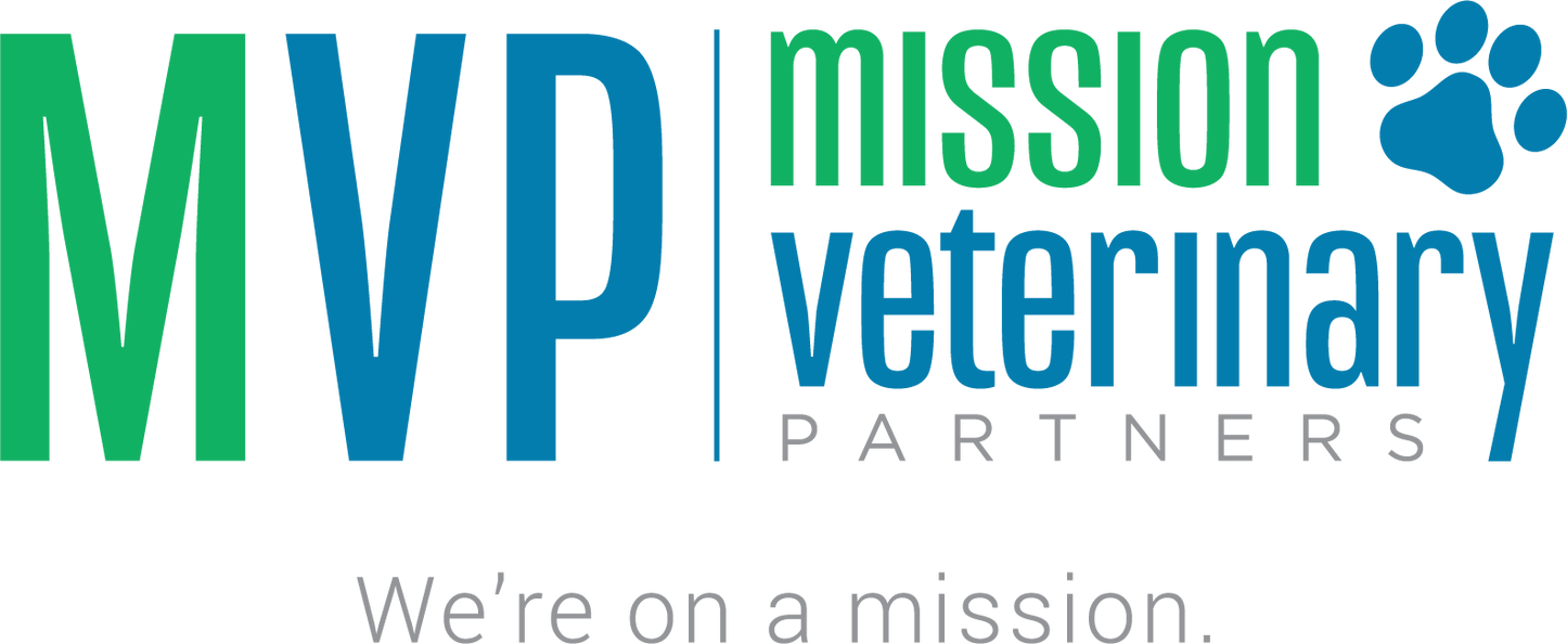 Veterinary Preventing Dog Bites