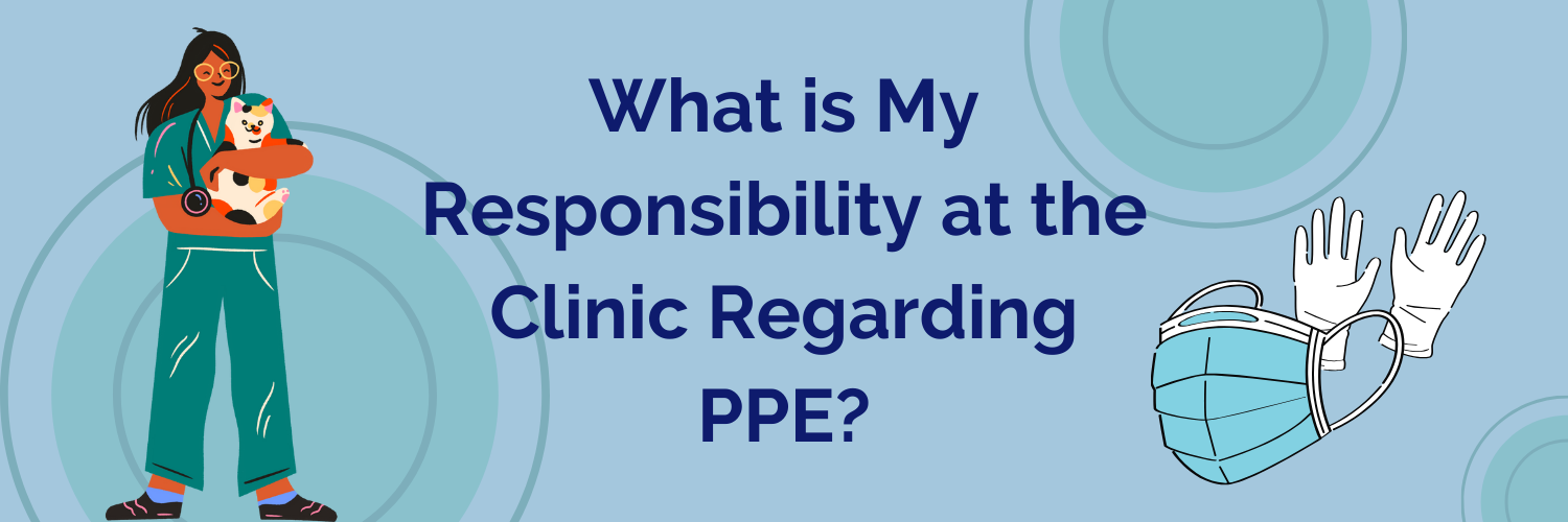 Vet PPE Responsibilities