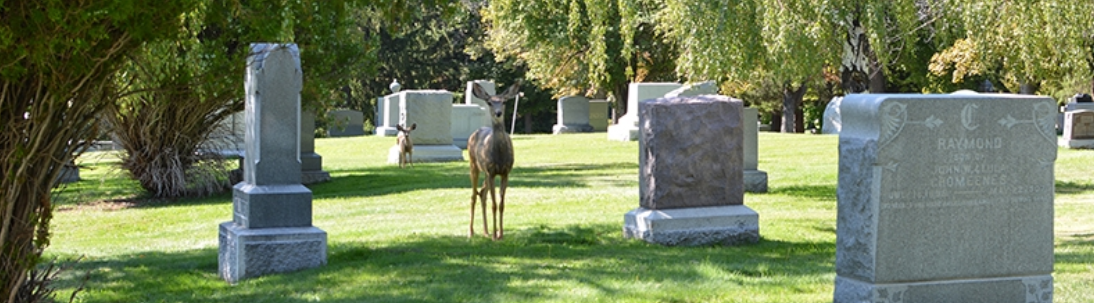 CST Cemetery Safety & Risk Management