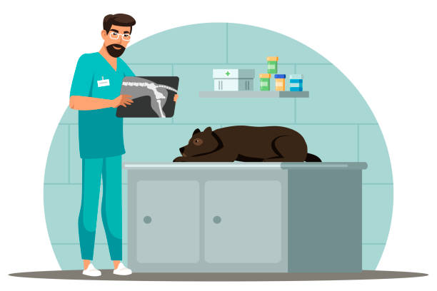 The ALARA Principle - Protecting Veterinary Staff