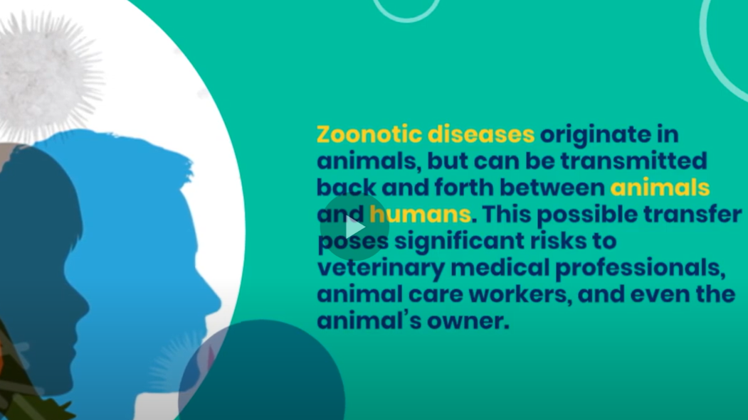 OSHA Bite: Common Zoonotic Diseases in Vet med