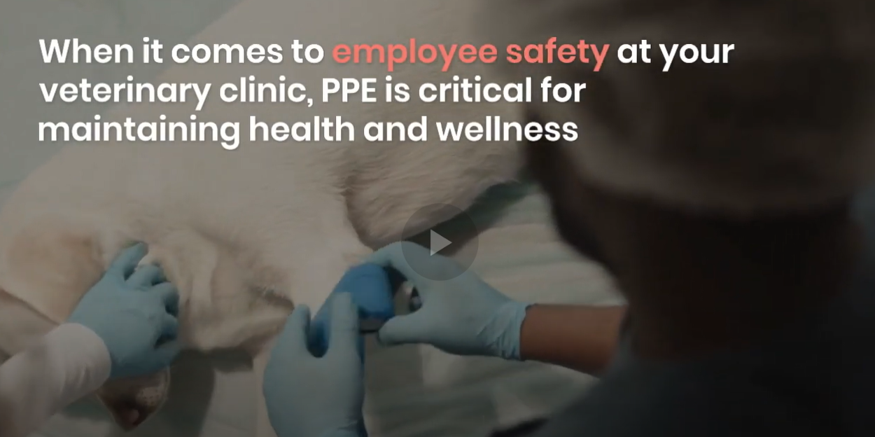 OSHA bite veterinary safety employer