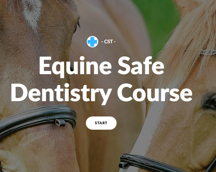 CST Equine Safe Dentistry Course
