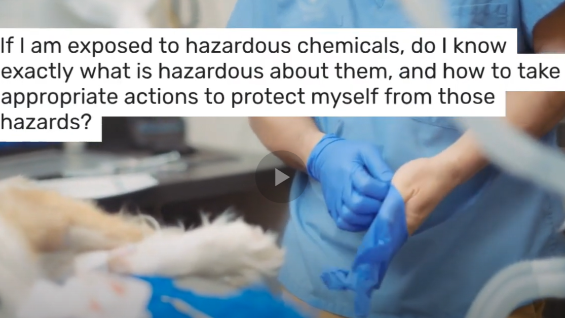 Sanitation OSHA Bites: Veterinary Clinic