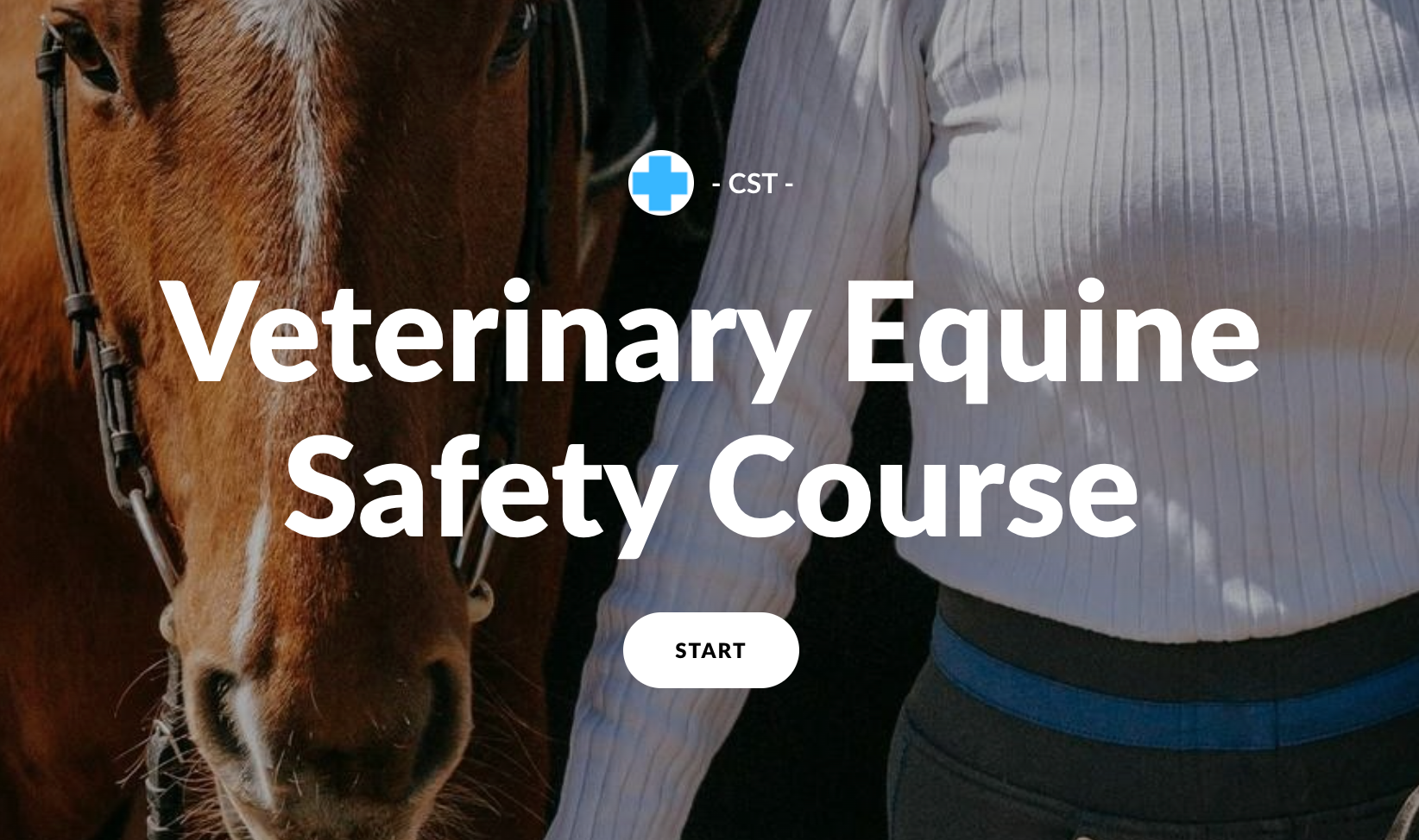 CST Vet Equine Safety Course